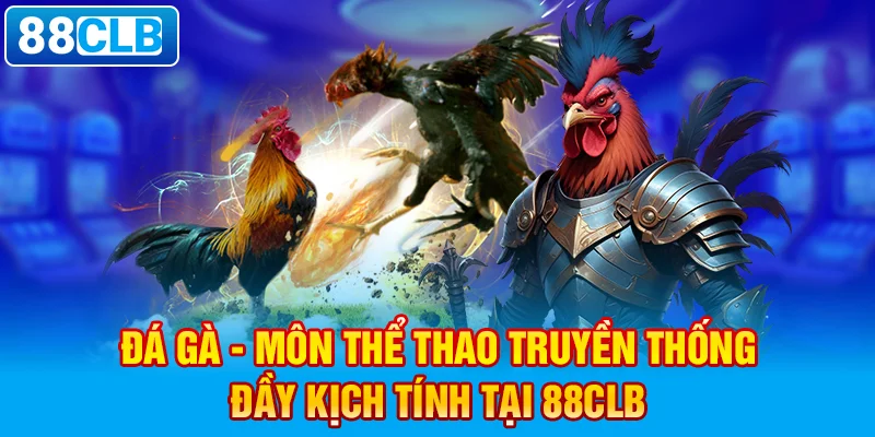 Đá gà – Môn thể thao truyền thống đầy kịch tính tại 88clb.