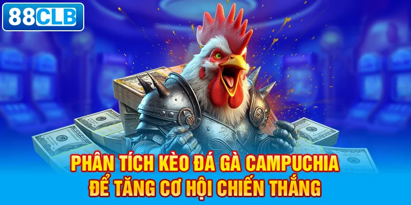 Phân tích kèo đá gà Campuchia để tăng cơ hội chiến thắng