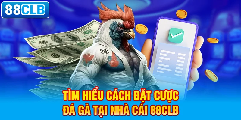  Tìm hiểu cách đặt cược đá gà tại nhà cái 88clb. 