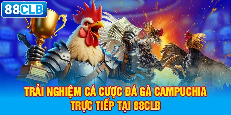 Trải nghiệm cá cược đá gà Campuchia trực tiếp tại 88clb.