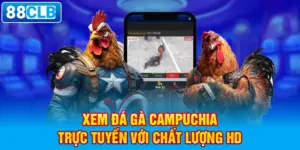 Xem đá gà Campuchia trực tuyến với chất lượng HD.